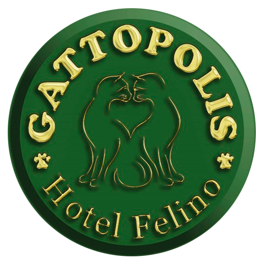 (c) Gattopolis.com